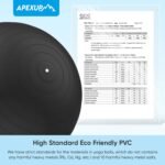 APEXUP Yoga Ball Exercise Ball Anti Slip Heavy Duty for Fitness, Balance & Core Workout - Image 5