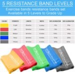 Resistance Bands Set. 3 or 5 Pack Non-Latex Physical Therapy, Professional Elastic Band. Perfect for Home Exercise, Workout, Strength Training, Yoga, Pilates, Rehab, Gym - Image 3