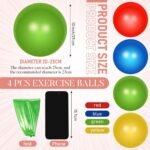 Leyndo 4 Pcs Pilates Ball 9 Inch Small Exercise Ball for Yoga Stability Core Training Barre Workout Physical Therapy Balance - Image 3