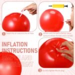 Leyndo 4 Pcs Pilates Ball 9 Inch Small Exercise Ball for Yoga Stability Core Training Barre Workout Physical Therapy Balance - Image 6