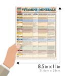 Vitamins & Minerals: a QuickStudy Laminated Reference Guide (QuickStudy Health) - Image 3