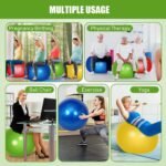 Leyndo 4 Pcs 26 Inch Yoga Exercise Ball Pilates Pregnancy Birthing Fitness Ball with Quick Pump Anti Burst for Improved Posture, Balance, Yoga, Pilates, Training - Image 5