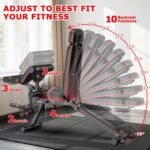 XDDIAS Workout Bench, Adjustable Weight Bench with Leg Extension and Leg Curl, Extended Headrest, 900LBS Preacher Curl Bench Incline Decline Flat Workout Bench for Home Gym Full Body Exercise - Image 3