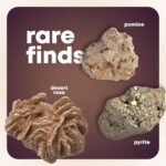 Dan&Darci Rock Collection for Kids - Includes 250+ Bulk Rocks, Gemstones & Crystals + Genuine Fossils and Minerals - 2 Lbs. - Geology Earth Science STEM Toys Activity, Gifts for Boys & Girls Ages 6+ - Image 6