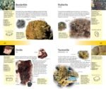 The Firefly Guide to Minerals, Rocks and Gems - Image 6