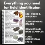 Texas Rocks And Minerals Identification Field Guide | Find Crystals, Gems, Geodes, and Rocks | Thick Waterproof Laminate | Geology Book For Beginners, Experts, & Kids | Rock Chasing - Image 3