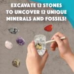 Dig It Up! Fossils & Minerals - Image 4
