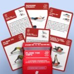 Abs and Core Exercise Cards – 75+ Workout Cards to Help Build Core Strength, Stability, Outdoor, Work from Home Fitness Workout - Image 5