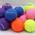 Tennis Balls, 20 Pack Training Tennis Balls,High Elasticity Practice Tennis for Beginner, Exercise Playing Balls for Pet Dog - Image 4