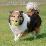 Tennis Balls, 20 Pack Training Tennis Balls,High Elasticity Practice Tennis for Beginner, Exercise Playing Balls for Pet Dog - Image 8