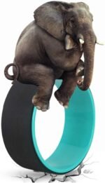 NGT Yoga Wheel 13 inch Yoga Wheel for Back Pain Strongest and Most Comfortable Dharma Yoga Prop Wheel with Free Yoga Bands - Image 4