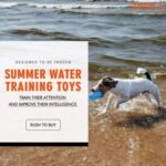 Pet Products Arctic Freeze Fetch Food Cooling Teether Chew Toy (2PCS) - Image 7