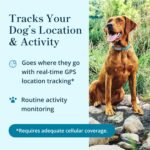 Petivity Smart GPS and Activity Pet Tracker for Dogs Powered by Purina, Waterproof Real Time Tracking GPS Dog Collar, Downloadable App, Subscription Required - Image 3
