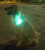 LED Safety Light (2 Pack) - Clip On Strobe/Running Lights for Runners, Dog, Bike, Walking, Boat, Kayak, Stroller and More - High Visibility Accessories for Your Reflective Gear, Bicycle - Image 10