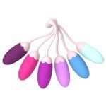 FENHUA Kegel Exercise System–Pelvic Floor Strengthening- Set of 6 Premium Silicone Kegel Exercise Weights & Control with Training Kit for Women: Beginners & Advanced - Image 2