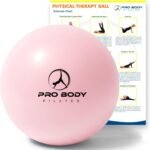 ProBody Pilates Exercise Balls Physical Therapy - 9 Inch Small Exercise Ball for Between Knees for Rehab, Barre, Core, Stability & Yoga - Image 2