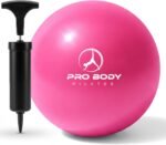 ProBody Pilates Small Exercise Ball with Pump - 9 Inch Workout Ball for Stability, Barre, Yoga, Core & Physical Therapy - Image 2